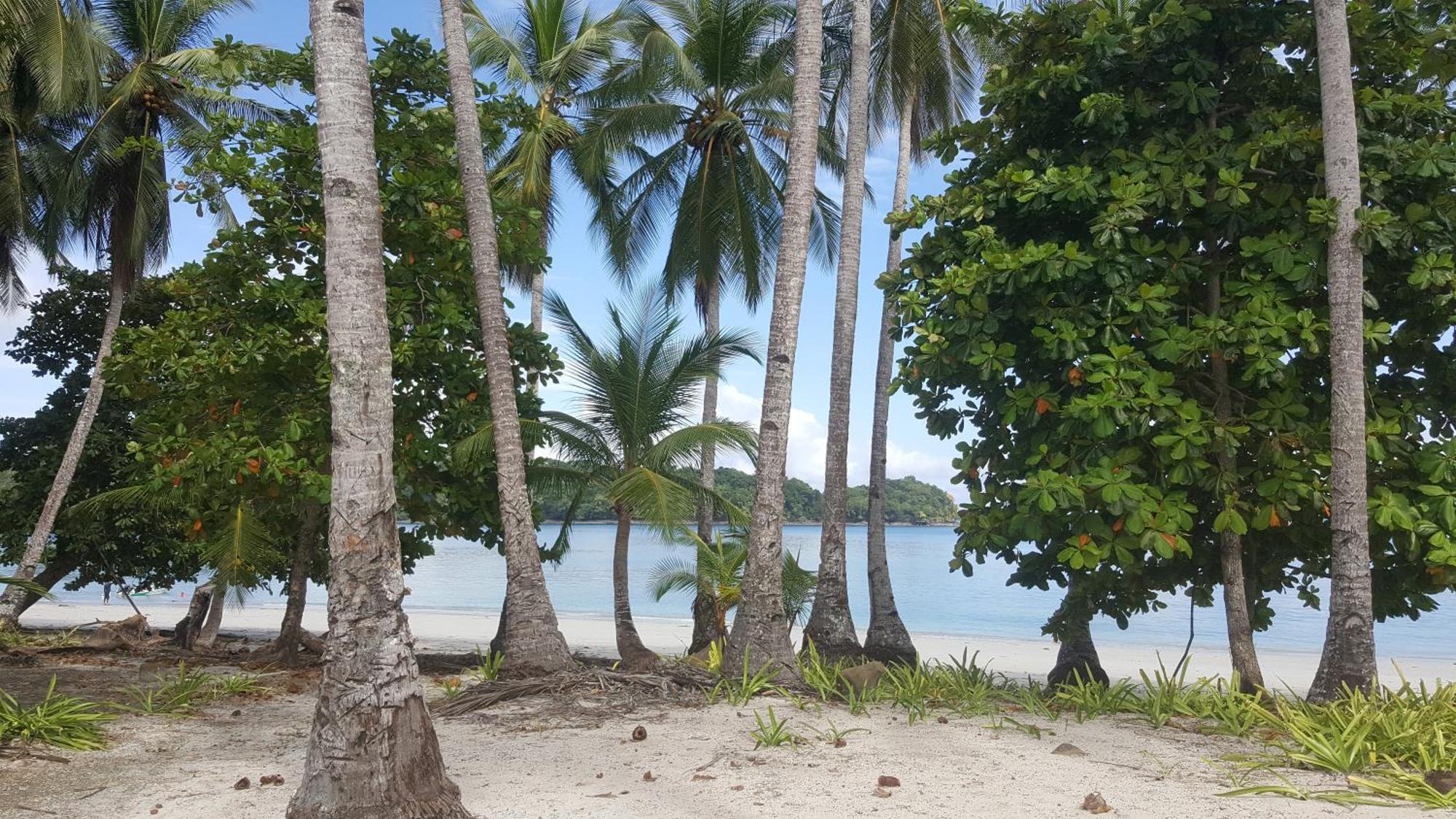 Boca Chica Bay Eco Lodge Buitenkant foto